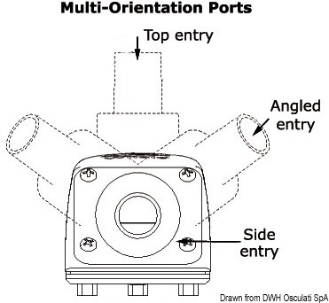 Succhiarola Whale orientabile