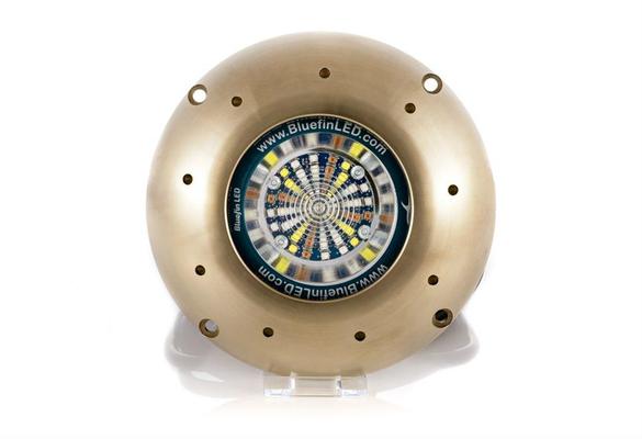 Bluefin LED Orca O20 SM - Bianco - 14500 lm