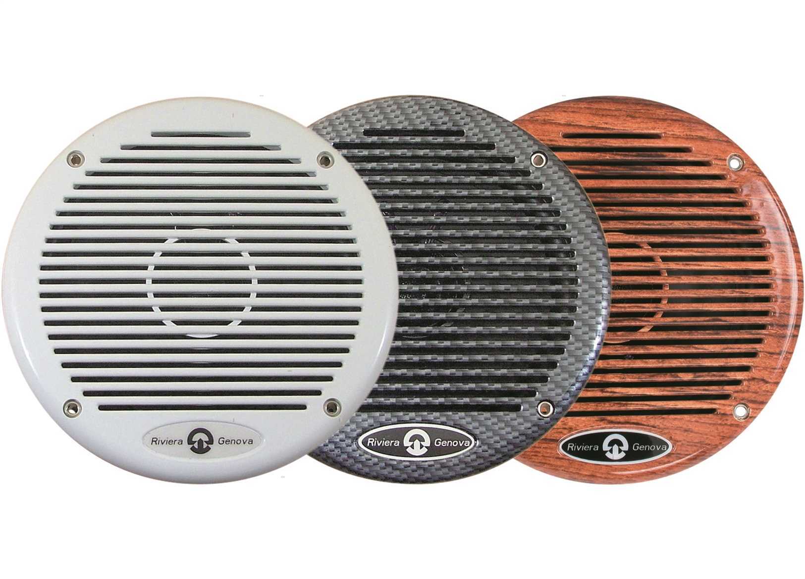 ALTOPARLANTI RV SOTTILI 80W CARBON (1)