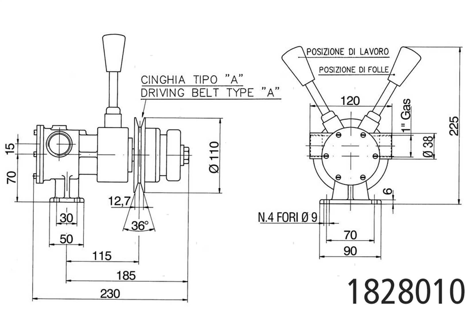 POMPA PULEGGIA ANCOR 100L/M (2)